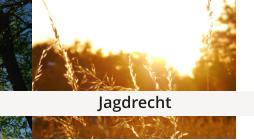 Jagdrecht